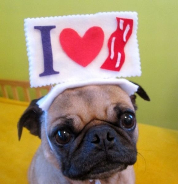 Bildschirmarbeiter - Picdump 31.08.2012