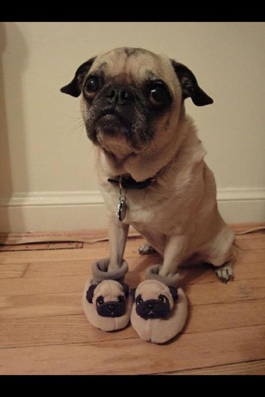 Bildschirmarbeiter - Picdump 31.08.2012