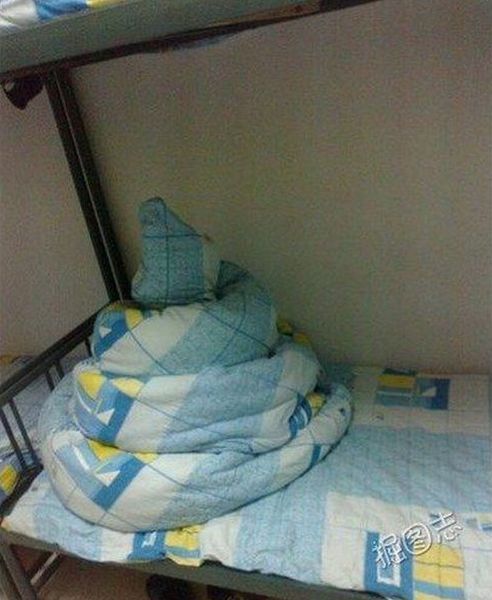 Bildschirmarbeiter - Picdump 31.08.2012