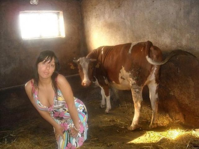 Bildschirmarbeiter - Picdump 31.08.2012