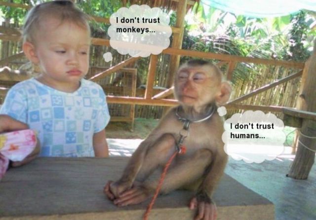 Bildschirmarbeiter - Picdump 31.08.2012