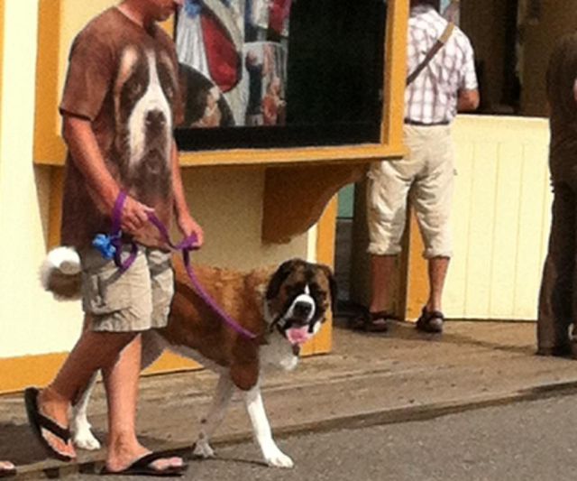 Bildschirmarbeiter - Picdump 31.08.2012