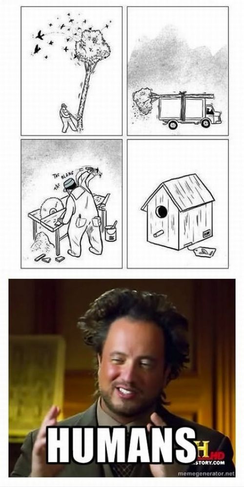 Bildschirmarbeiter - Picdump 31.08.2012