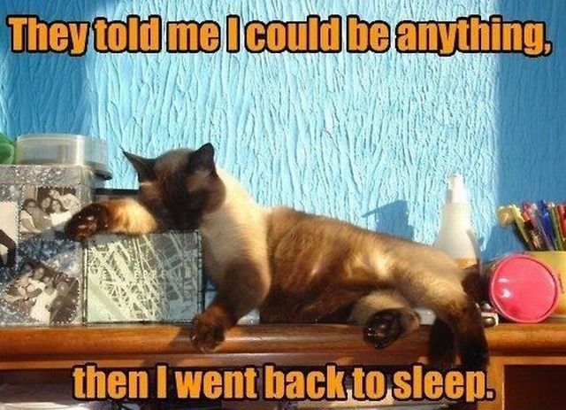 Bildschirmarbeiter - Picdump 31.08.2012