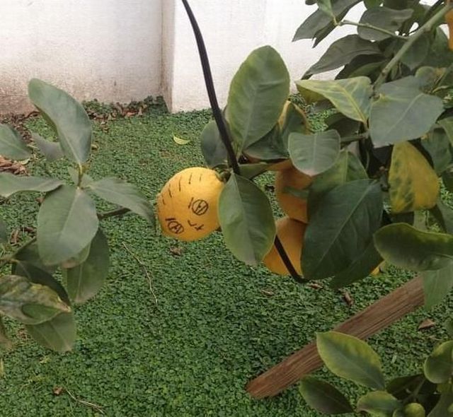 Bildschirmarbeiter - Picdump 31.08.2012