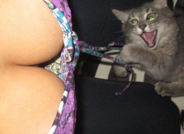 Bildschirmarbeiter - Picdump 07.09.2012