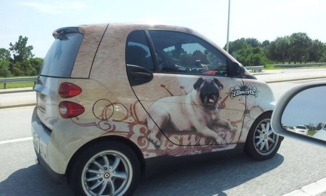 Bildschirmarbeiter - Picdump 07.09.2012