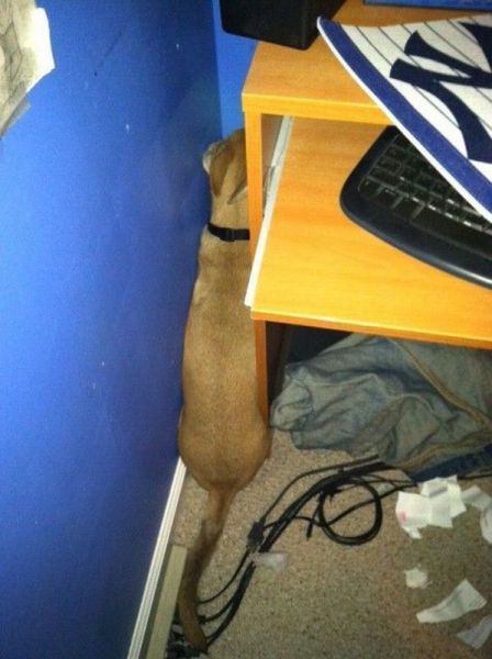 Bildschirmarbeiter - Picdump 07.09.2012