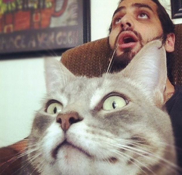 Bildschirmarbeiter - Picdump 07.09.2012