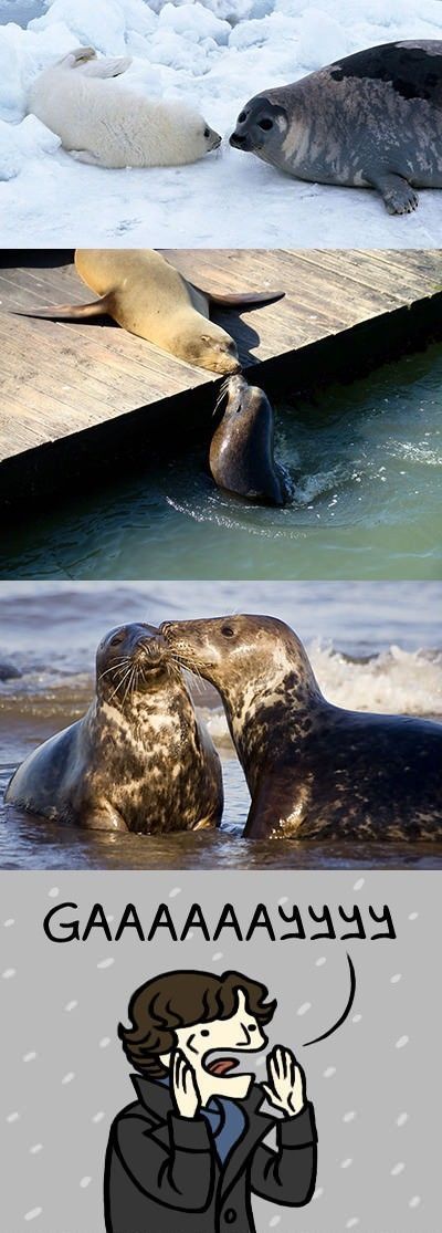 Bildschirmarbeiter - Picdump 07.09.2012