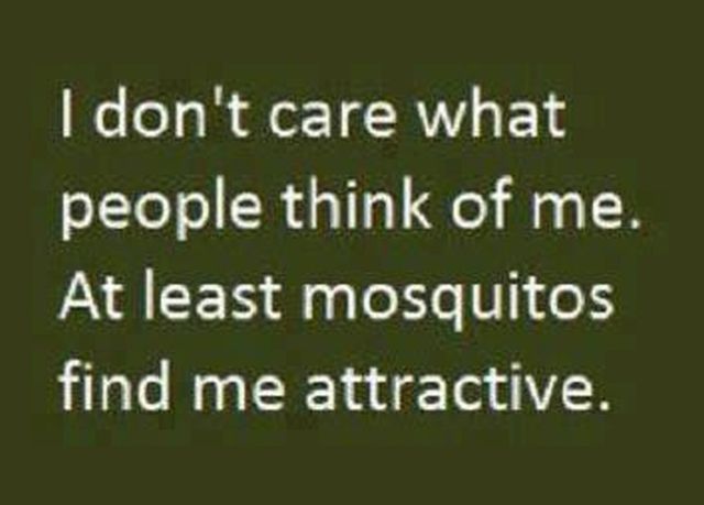 Bildschirmarbeiter - Picdump 14.09.2012