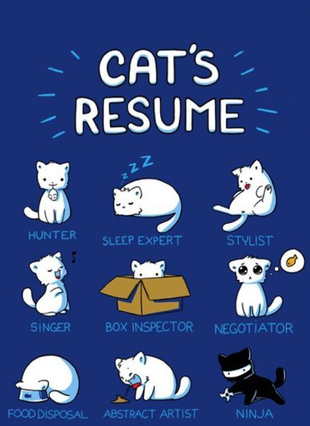 Bildschirmarbeiter - Picdump 14.09.2012