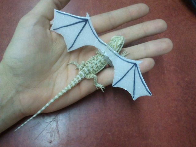 Bildschirmarbeiter - Picdump 14.09.2012