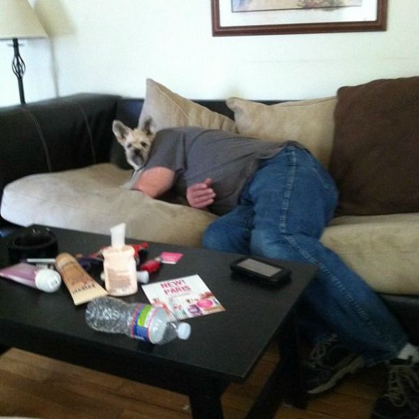 Bildschirmarbeiter - Picdump 14.09.2012