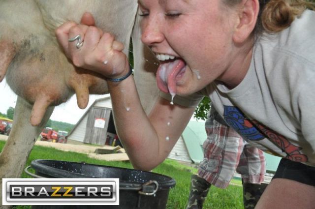 Bildschirmarbeiter - Picdump 14.09.2012