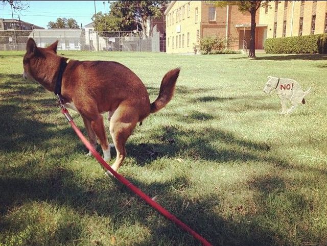 Bildschirmarbeiter - Picdump 14.09.2012