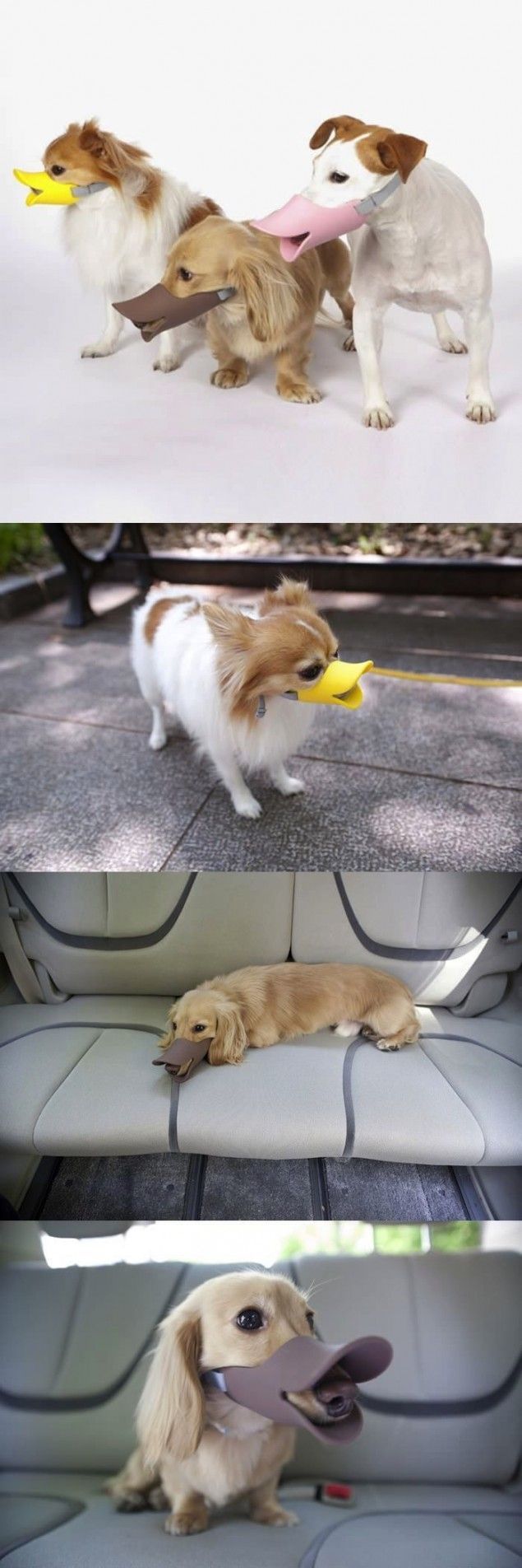 Bildschirmarbeiter - Picdump 14.09.2012