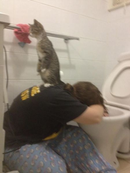 Bildschirmarbeiter - Picdump 21.09.2012