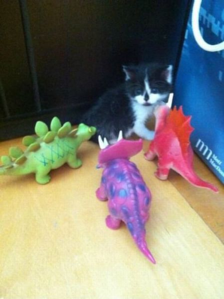 Bildschirmarbeiter - Picdump 21.09.2012