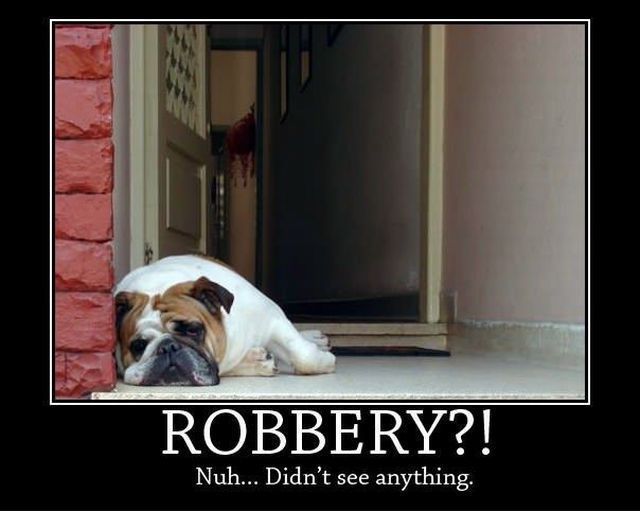 Bildschirmarbeiter - Picdump 21.09.2012