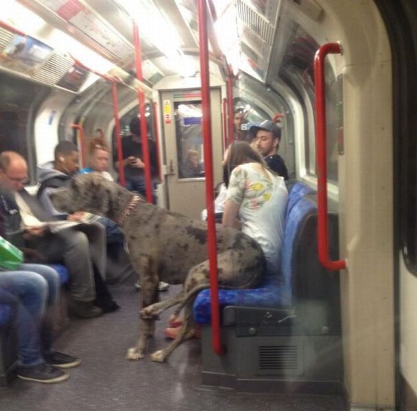 Bildschirmarbeiter - Picdump 21.09.2012