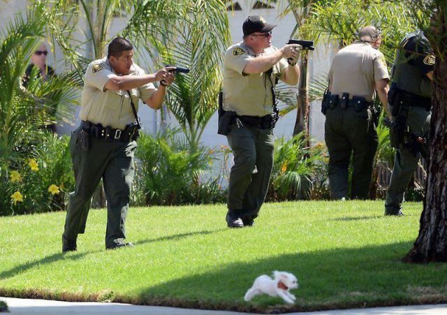 Bildschirmarbeiter - Picdump 21.09.2012