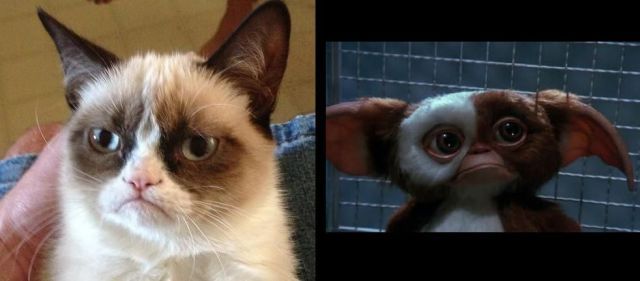 Bildschirmarbeiter - Picdump 28.09.2012