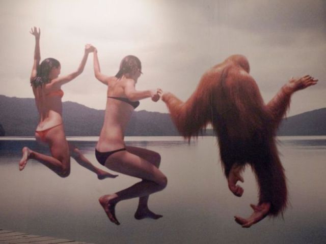 Bildschirmarbeiter - Picdump 28.09.2012