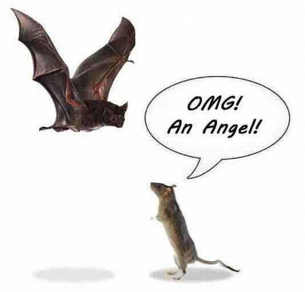 Bildschirmarbeiter - Picdump 28.09.2012