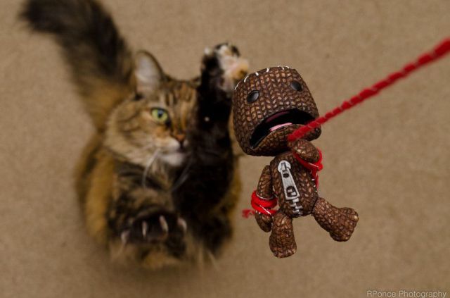 Bildschirmarbeiter - Picdump 28.09.2012