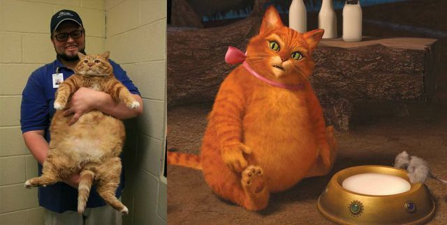 Bildschirmarbeiter - Picdump 28.09.2012