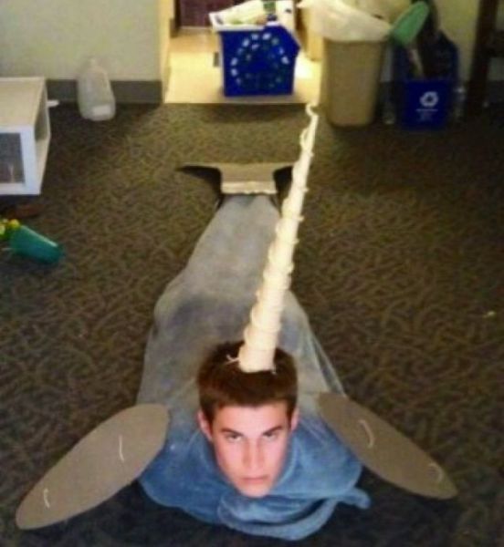 Bildschirmarbeiter - Picdump 28.09.2012