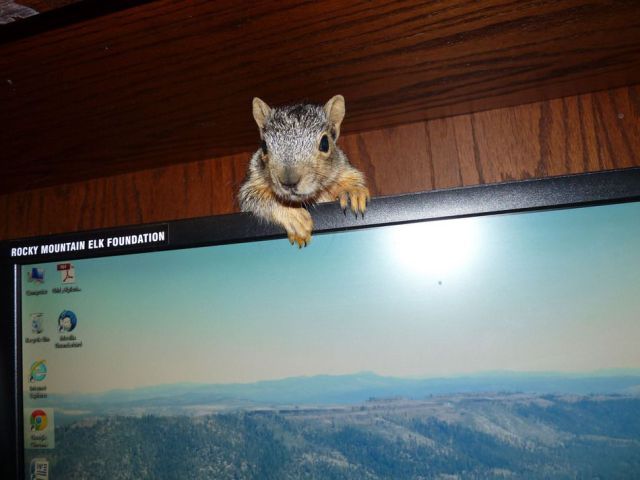 Bildschirmarbeiter - Picdump 28.09.2012