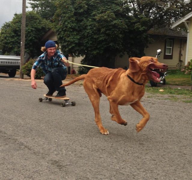 Bildschirmarbeiter - Picdump 28.09.2012