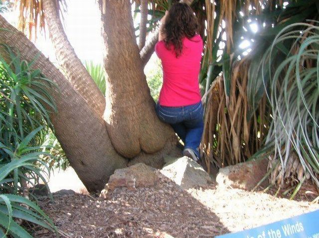 Bildschirmarbeiter - Picdump 28.09.2012