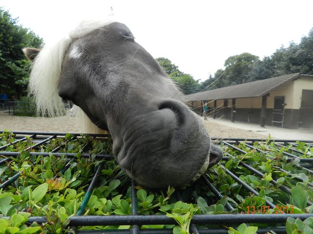 Bildschirmarbeiter - Picdump 28.09.2012