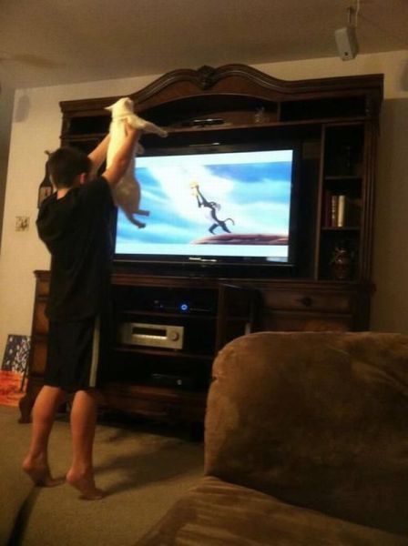 Bildschirmarbeiter - Picdump 05.10.2012