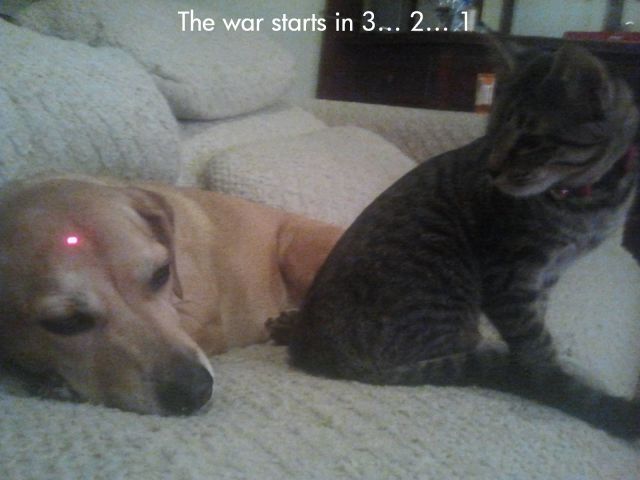 Bildschirmarbeiter - Picdump 05.10.2012