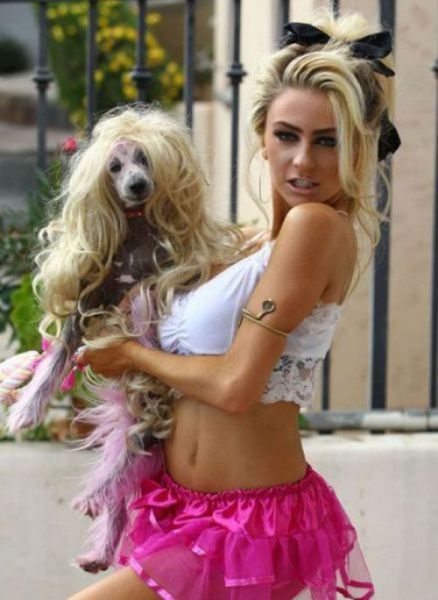 Bildschirmarbeiter - Picdump 05.10.2012