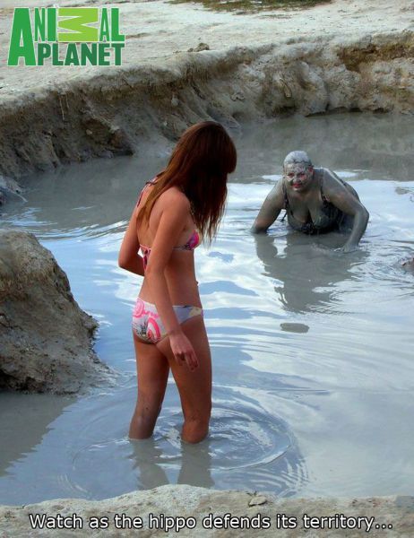 Bildschirmarbeiter - Picdump 05.10.2012