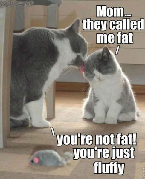 Bildschirmarbeiter - Picdump 05.10.2012