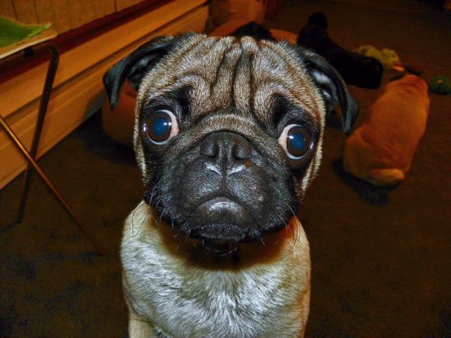 Bildschirmarbeiter - Picdump 05.10.2012