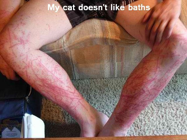 Bildschirmarbeiter - Picdump 05.10.2012