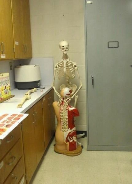 Bildschirmarbeiter - Picdump 12.10.2012