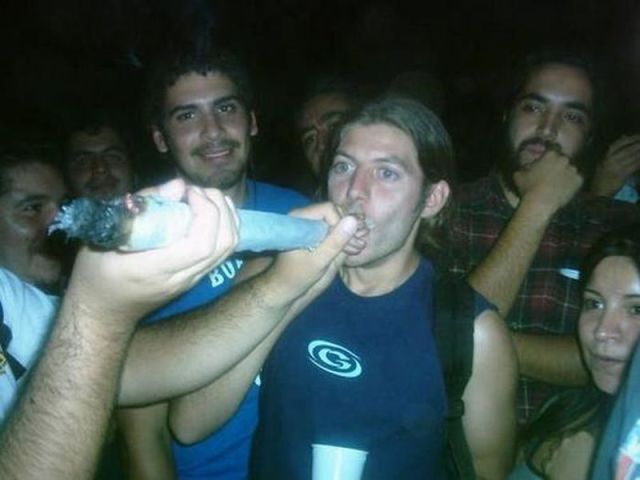 Bildschirmarbeiter - Picdump 12.10.2012