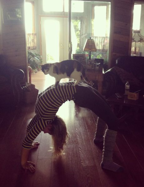 Bildschirmarbeiter - Picdump 12.10.2012