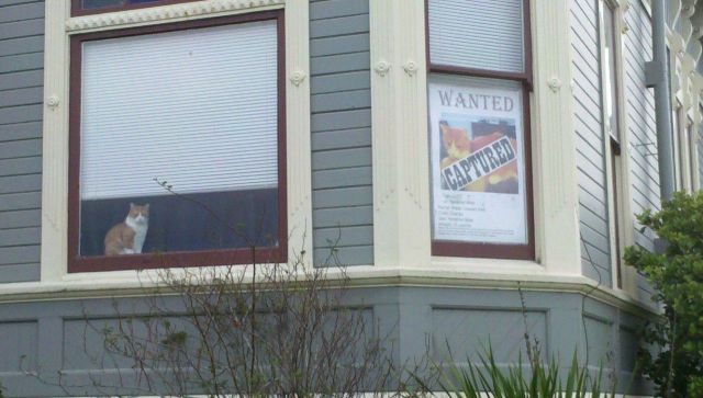 Bildschirmarbeiter - Picdump 12.10.2012