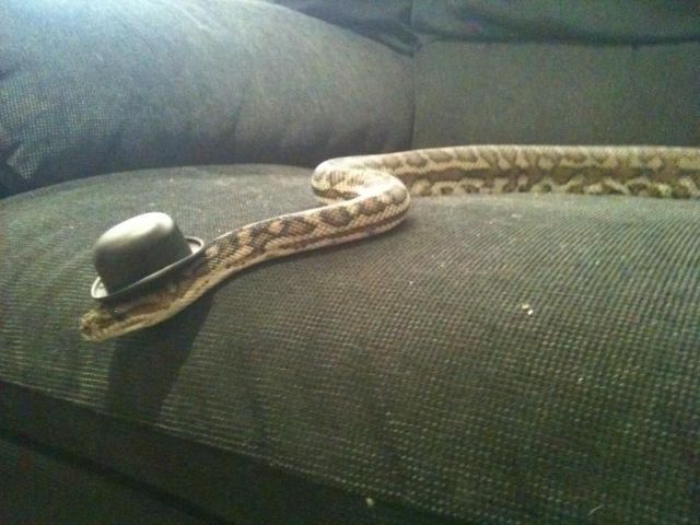 Bildschirmarbeiter - Picdump 12.10.2012