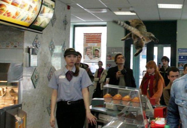 Bildschirmarbeiter - Picdump 12.10.2012