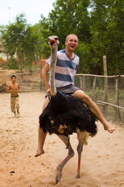 Bildschirmarbeiter - Picdump 12.10.2012